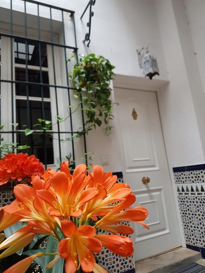 Apartamento Cruz Vieja Jerez de la Frontera Eksteriør billede